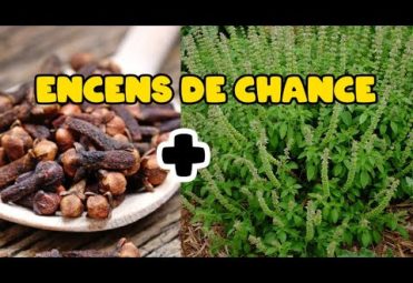 Comment fabriquer un encens de Chance avec le Basilic et le Clou de Girofle?