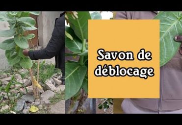 COMMENT FABRIQUER UN SAVON DE DÉBLOCAGE ET OUVERTURE?